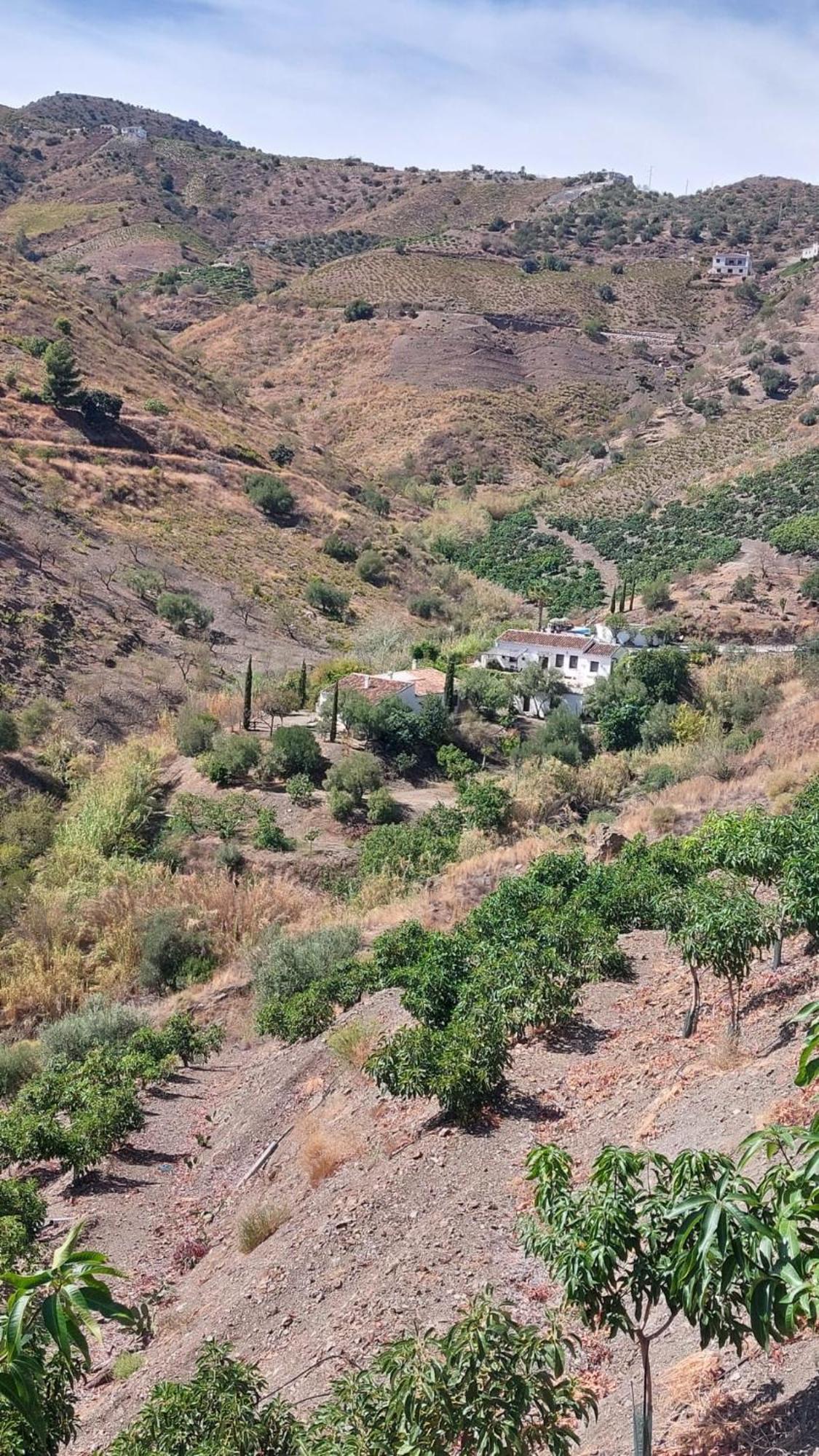 Maison d'hôtes Cortijo Lagar de Luisa à Borge Extérieur photo