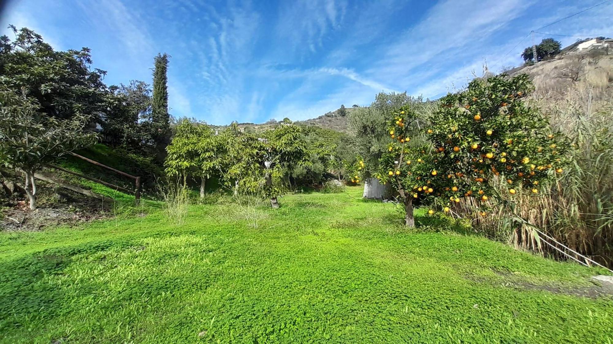 Maison d'hôtes Cortijo Lagar de Luisa à Borge Extérieur photo