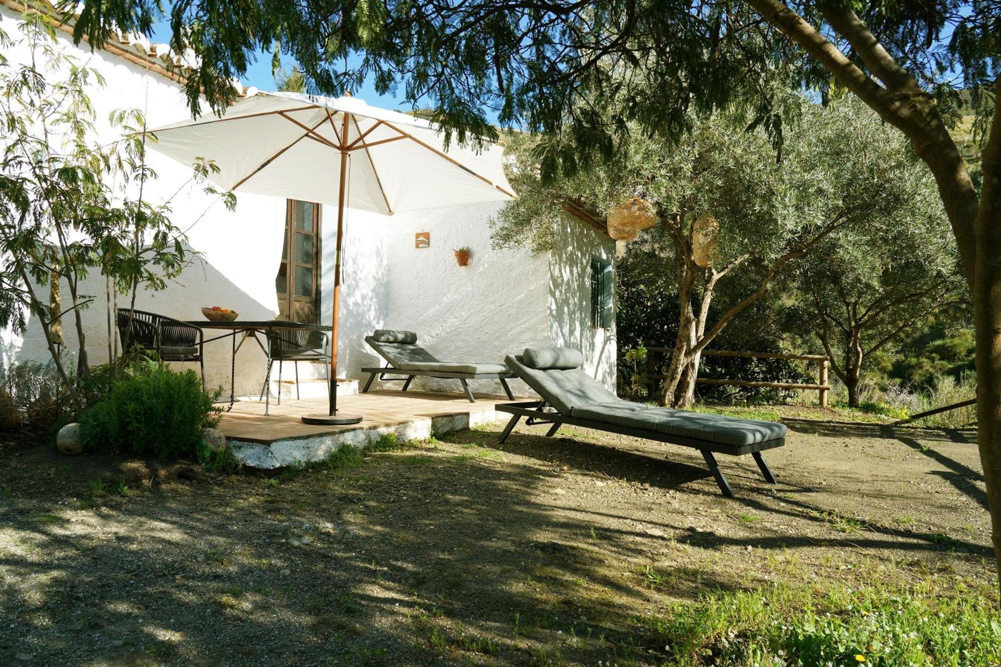 Maison d'hôtes Cortijo Lagar de Luisa à Borge Extérieur photo