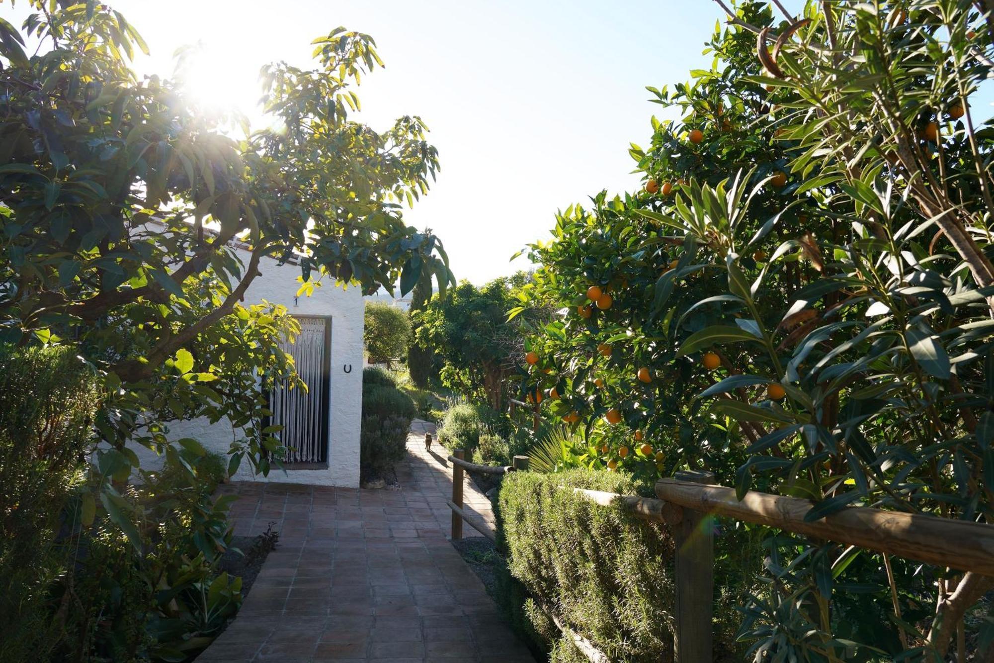 Maison d'hôtes Cortijo Lagar de Luisa à Borge Extérieur photo